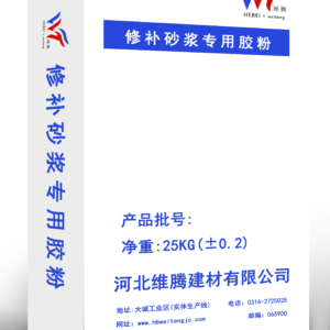 Polymer powder for repair mortar